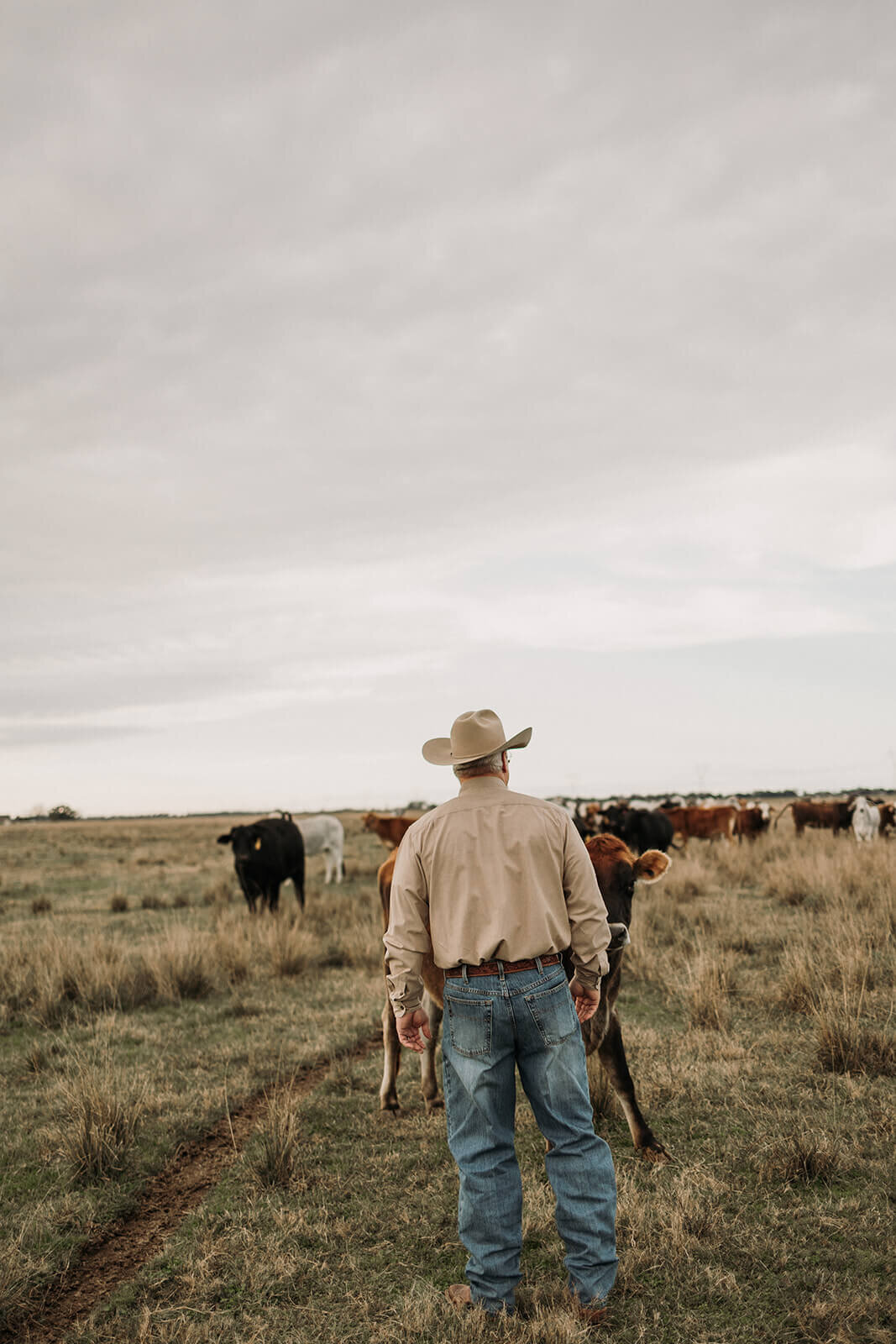Grace Ranch LLC photo