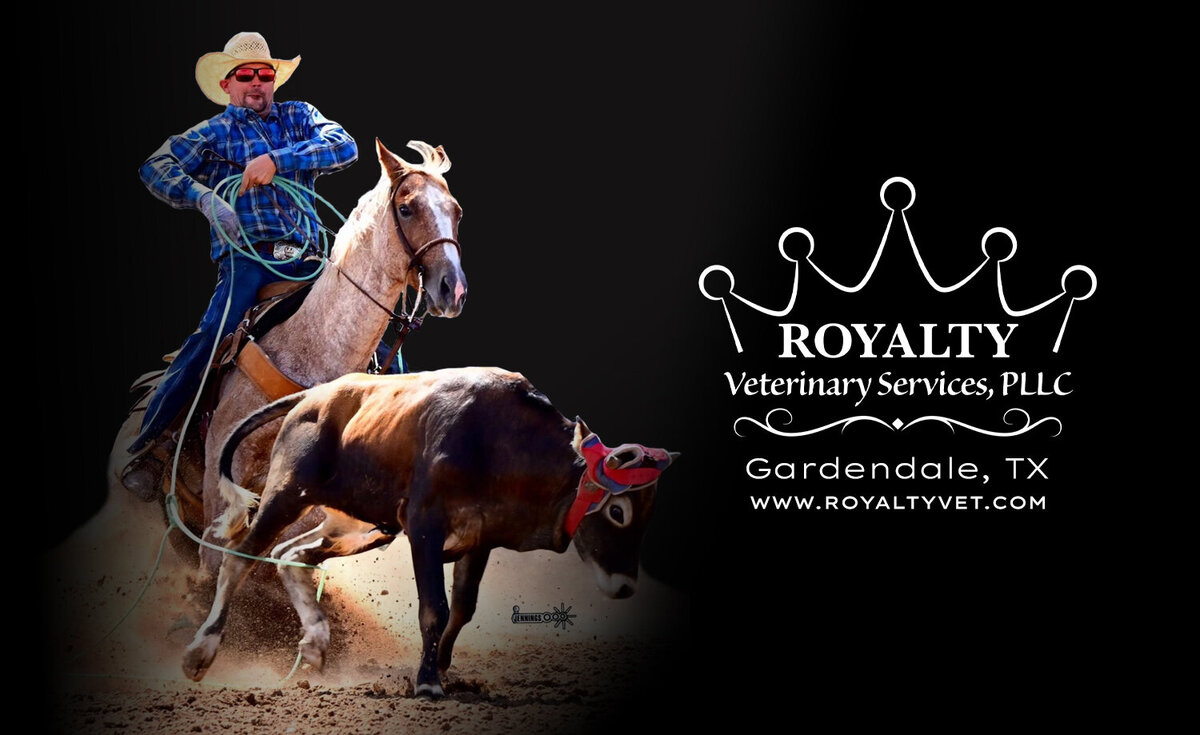 Equine Sports Medicine & Rehabilitation Royalty Vet