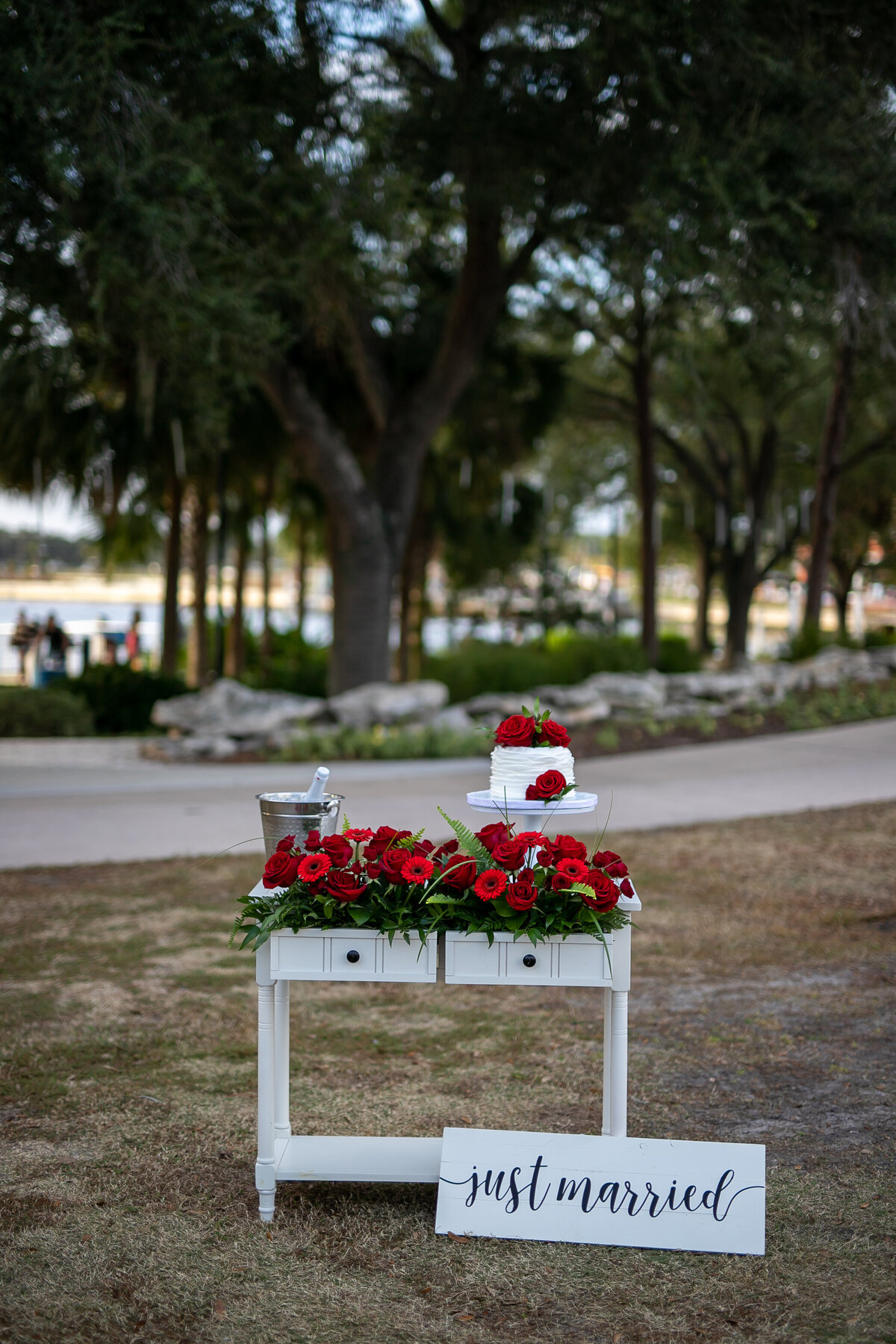 Foto-bohemia-photo-waterworks-parks-elope-tampa-chantilly-chic-celebrations-4