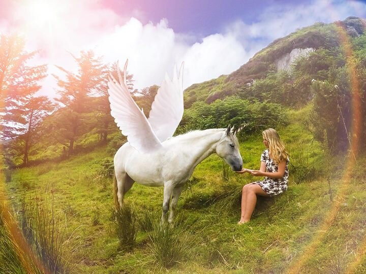 Revelaire Maryland Fine Art Fantasy Pet Photography 1f