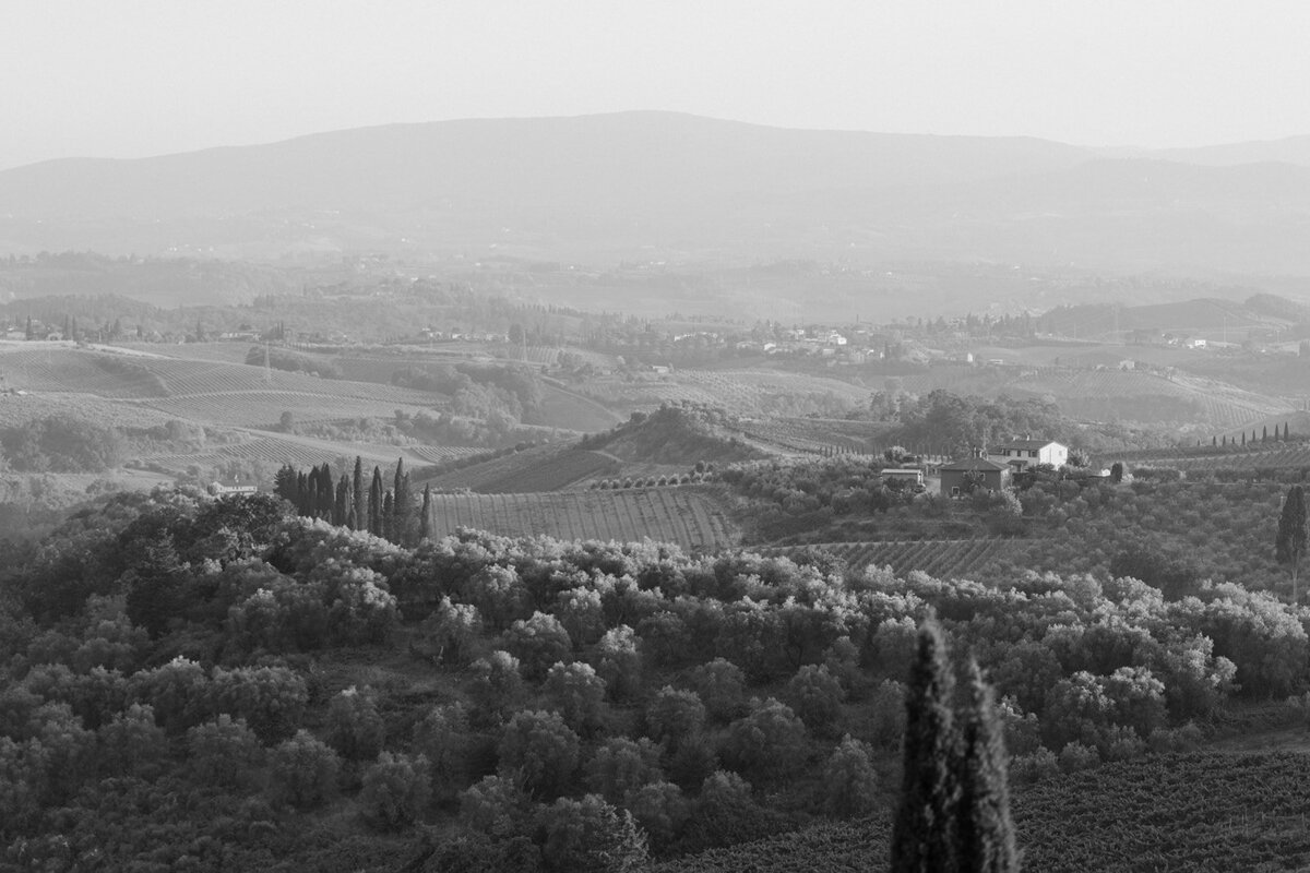 MOR26316