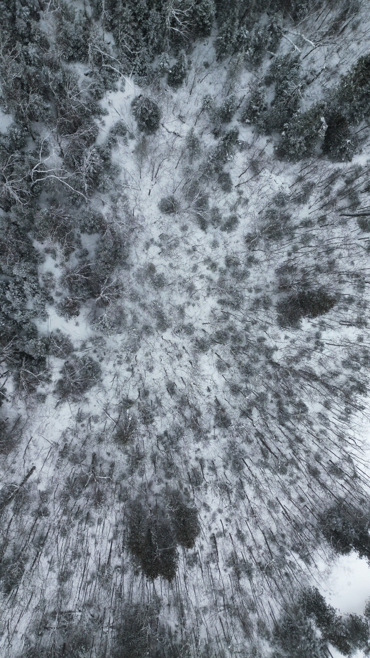 dji_fly_20250124_053618_751_1737915439892_photo_optimized