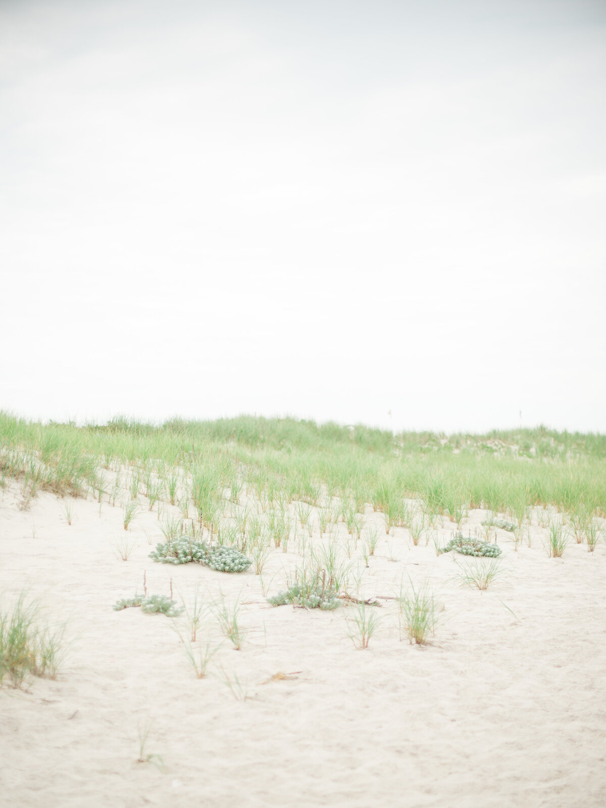 daniella+michael-first look-2