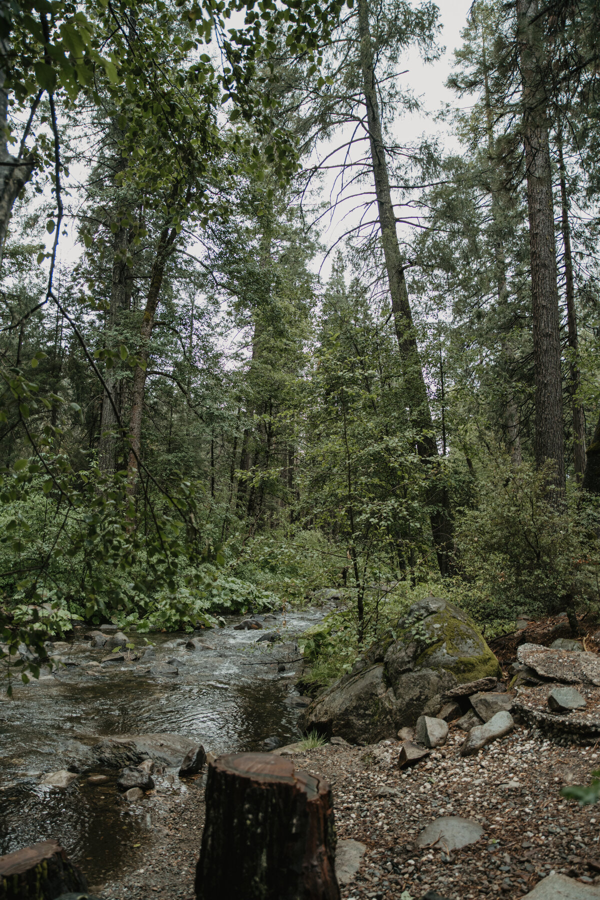 MountainTimePhotography-885
