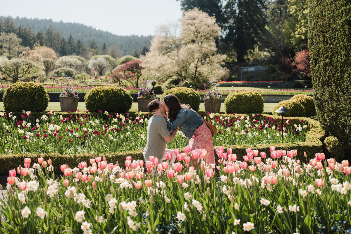 Matt and Natalie_Butchart Gardens Proposal_Megan Maundrell Photography Inc (13 of 128)