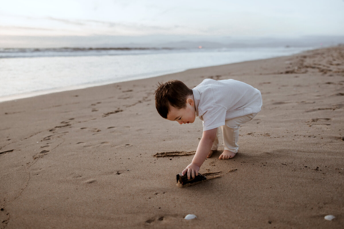 la family photographer 100