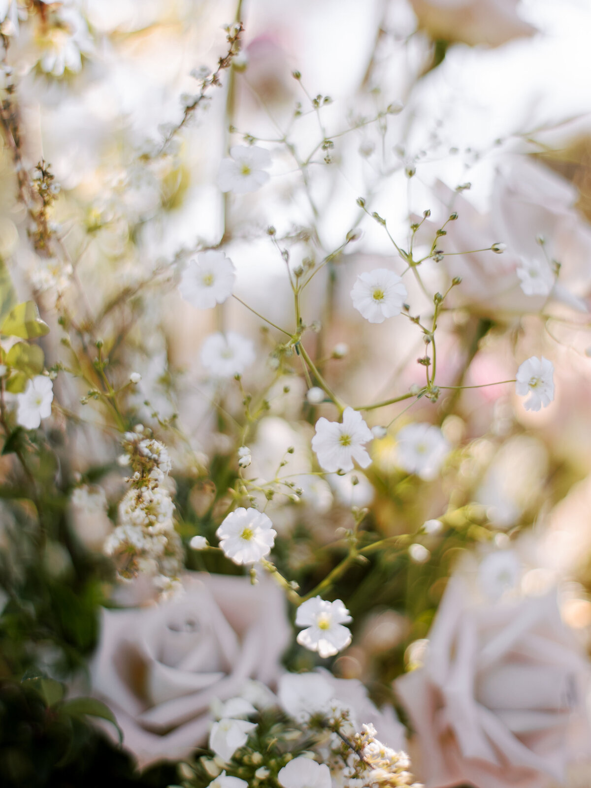 0490Evan-Peter-Wedding