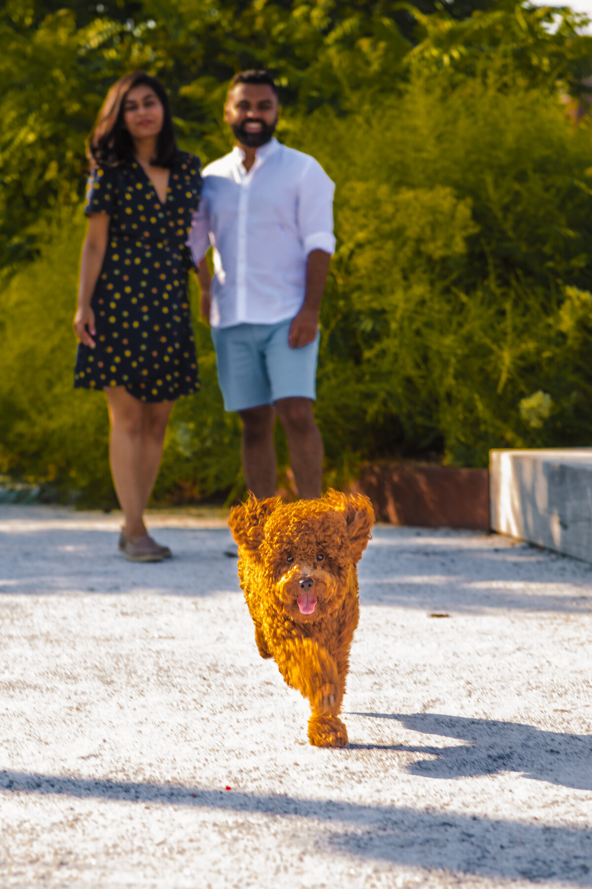 Gobi-Goswami-Pet-Family-Photos_Philadelphia-0029