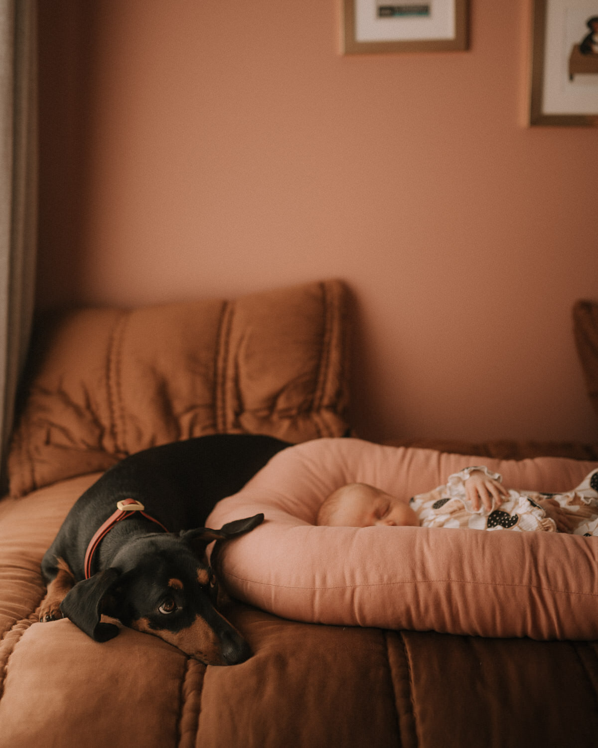 Newborn Photography - NYC - Williamsburg - Brooklyn - Home-005