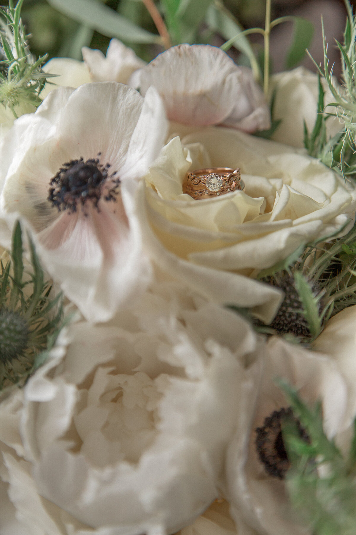 The wedding bands, nestled in a white rose sparkle in the daylight