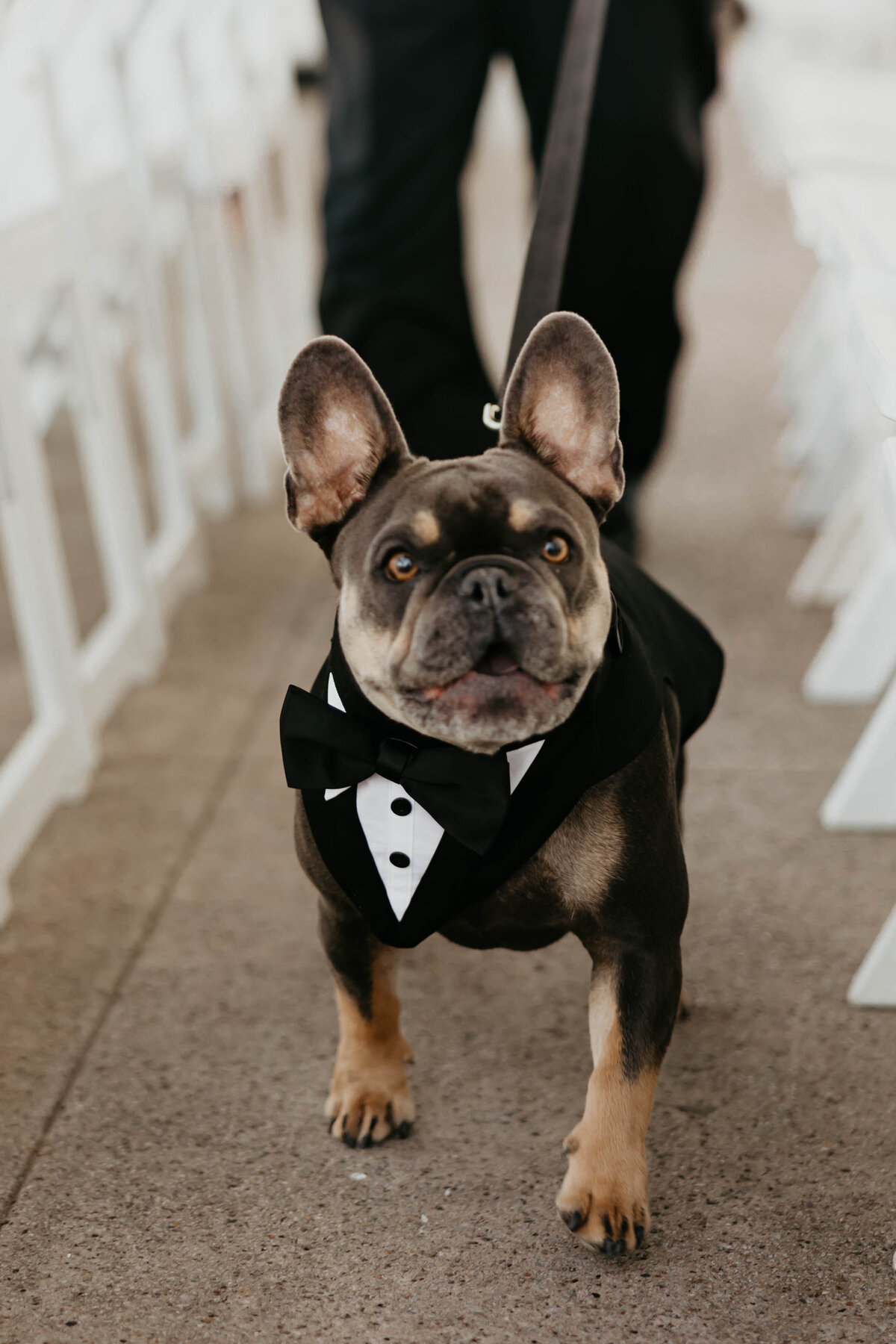 ashleysaraphotography_allison&martin-297