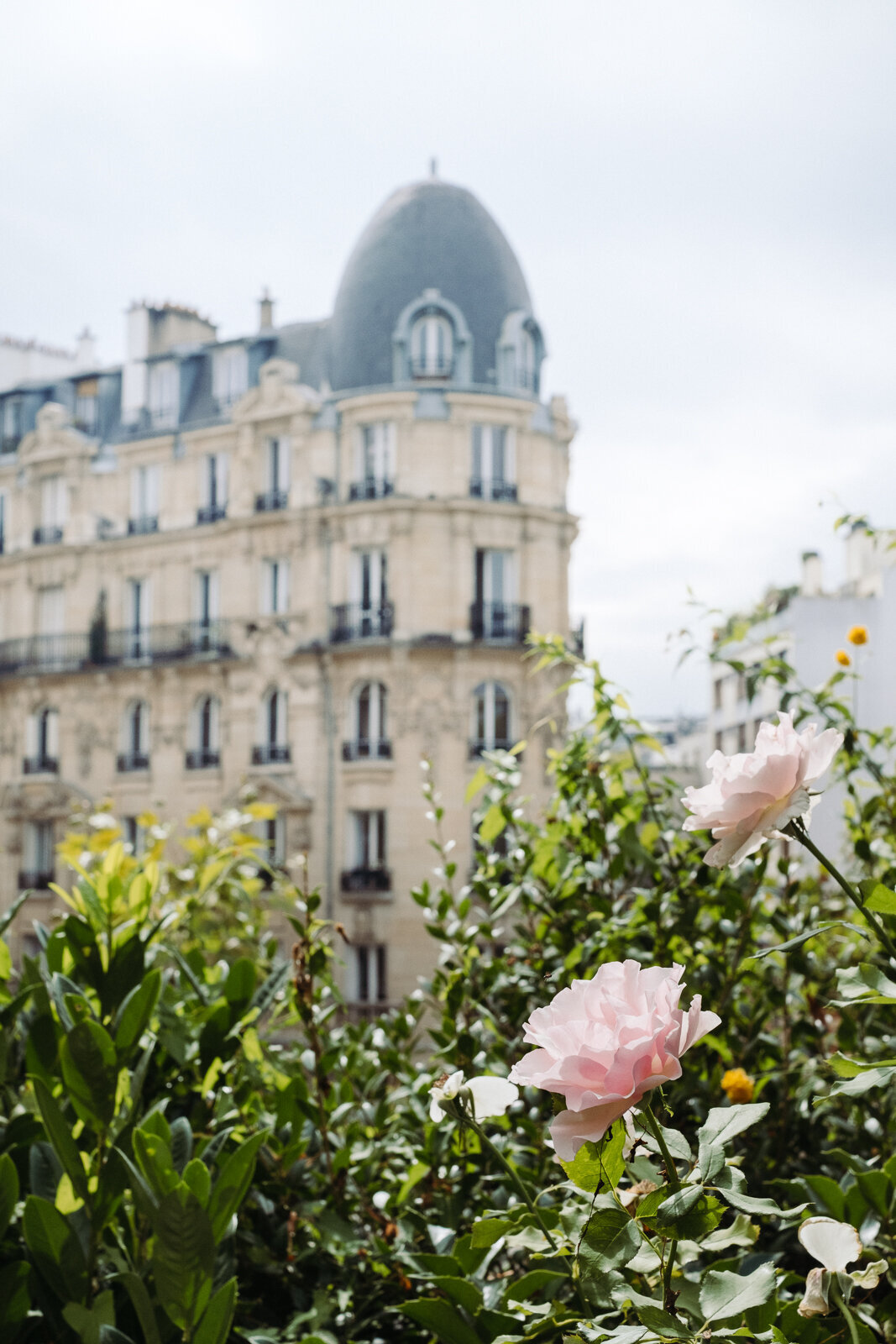 paris-danielle-motif-3