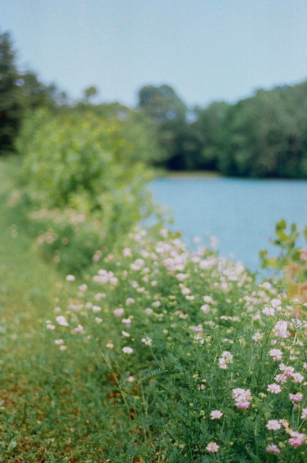 M.EilertPhotography-MadisonandCameronFilm-41
