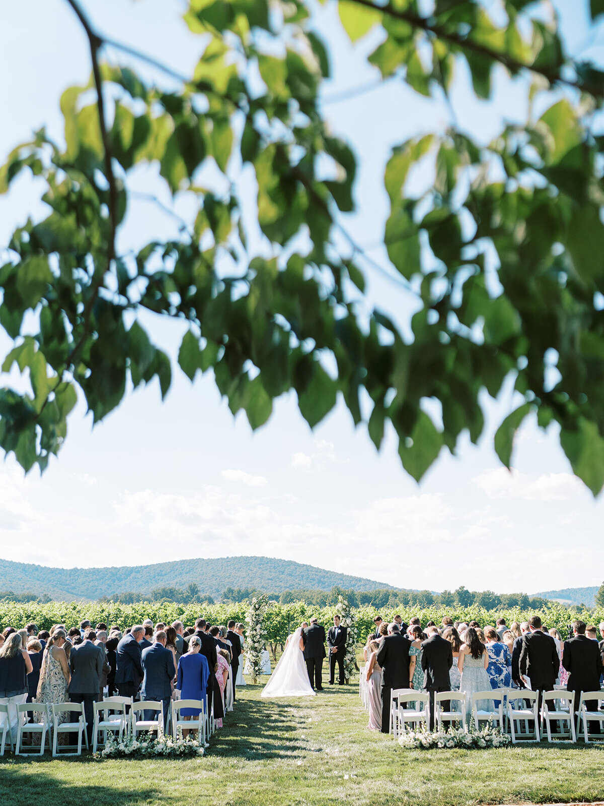 Virginia Wedding Photographer Natalie Jayne Photography-00977