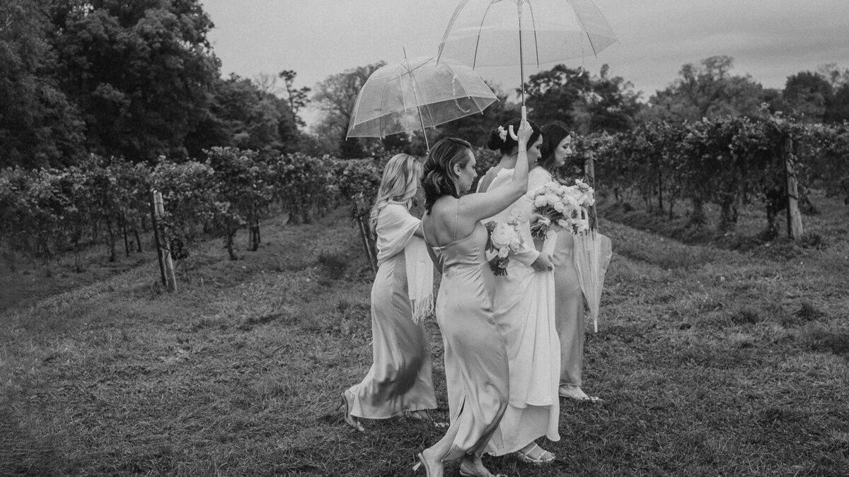 ashley-cal-umbrellas