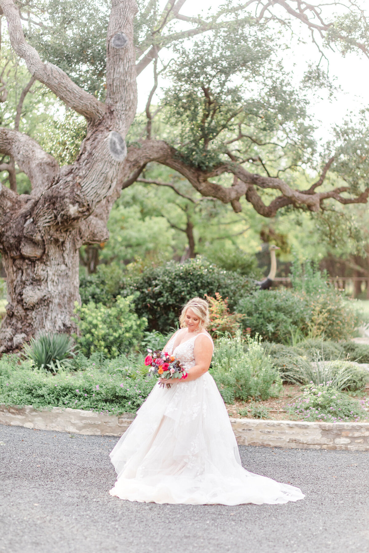 Sendera-Springs-Kerrville-texas-hill-country-bridal-session-2