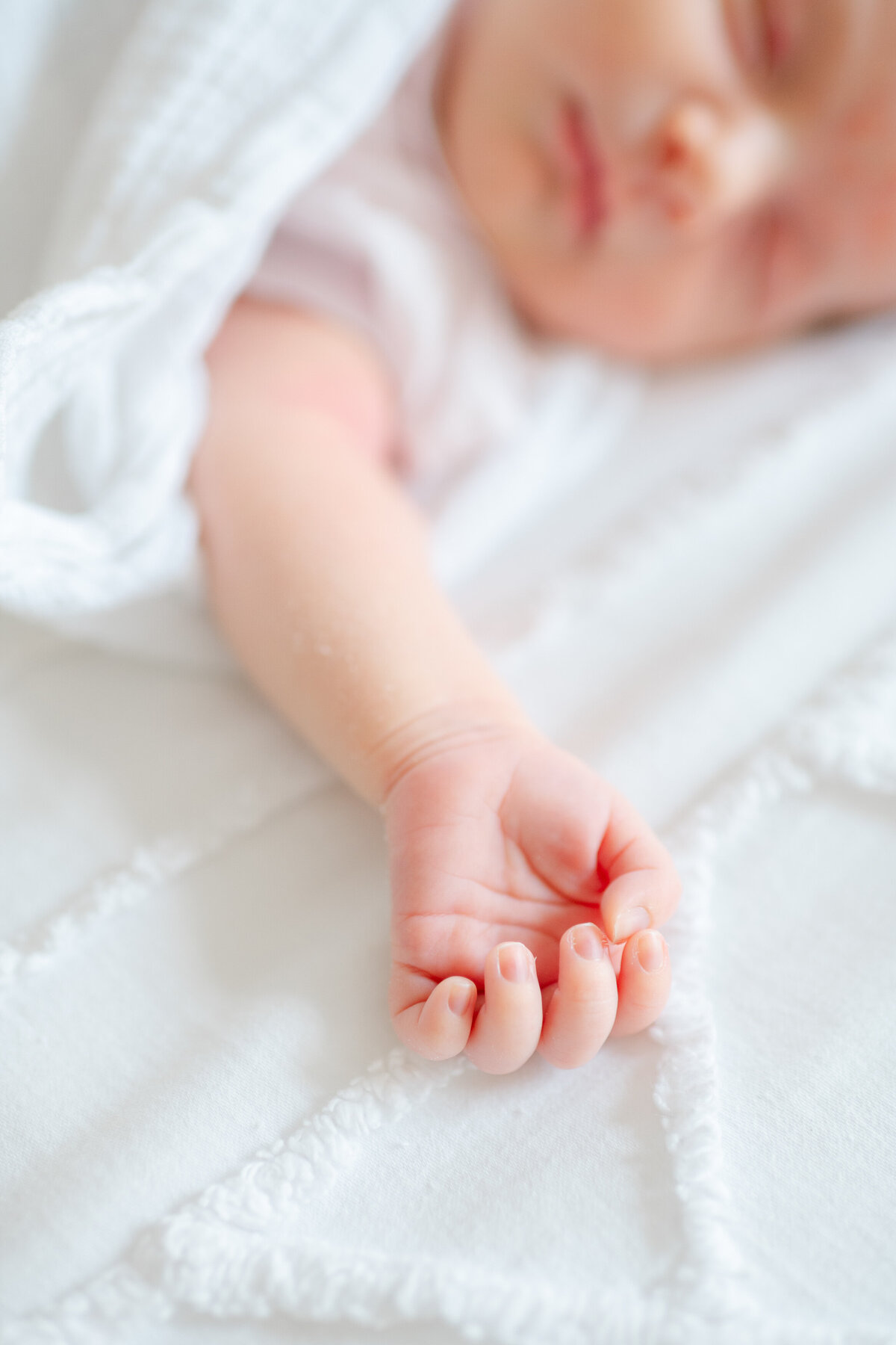 newborn photography cave springs-2575
