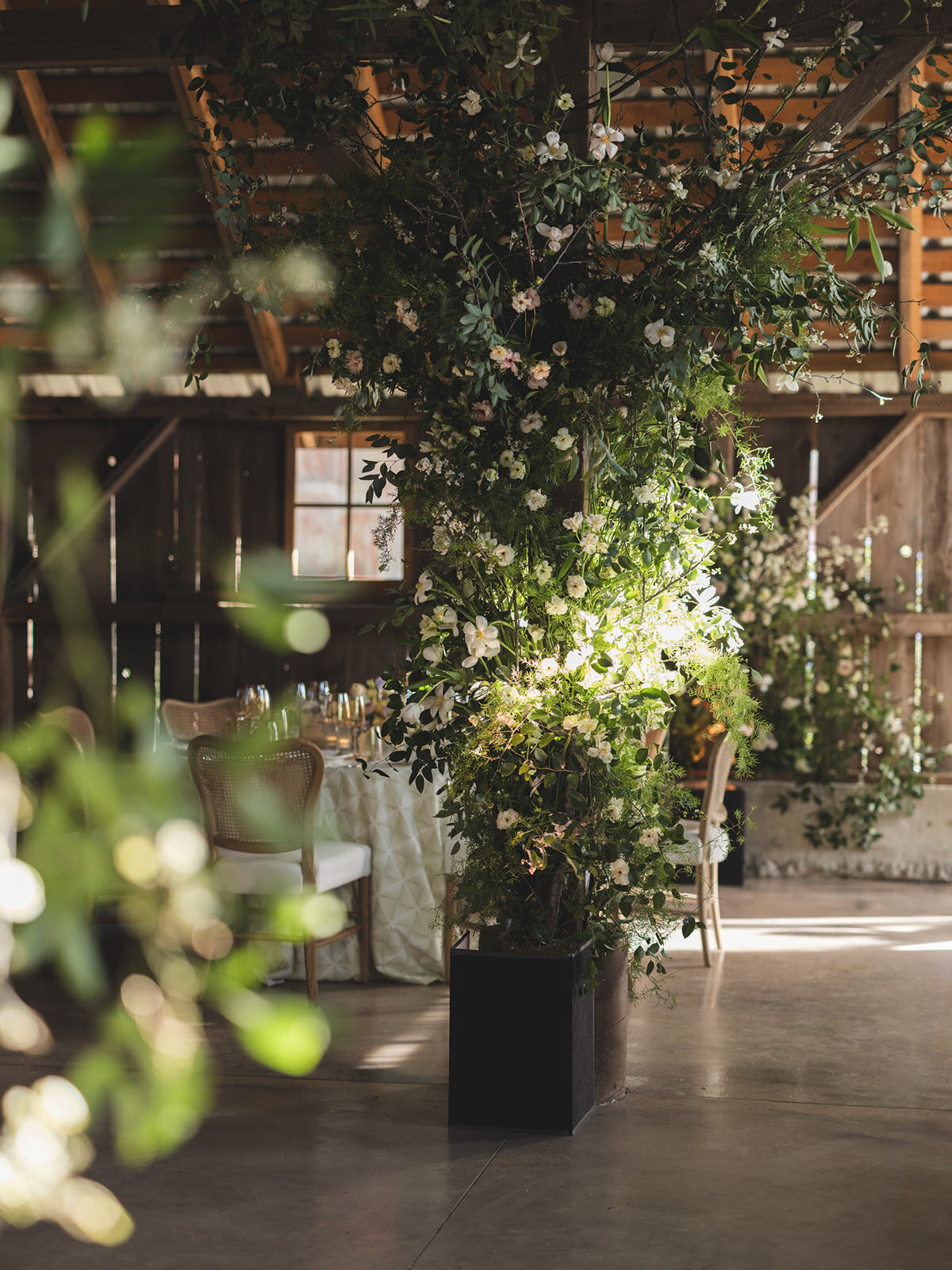 Haven Tomales Spring Barn Wedding Flowers Climbing Beams