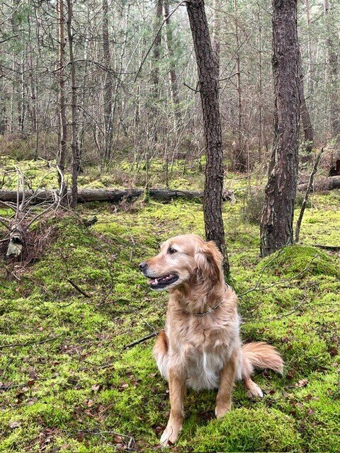Oona