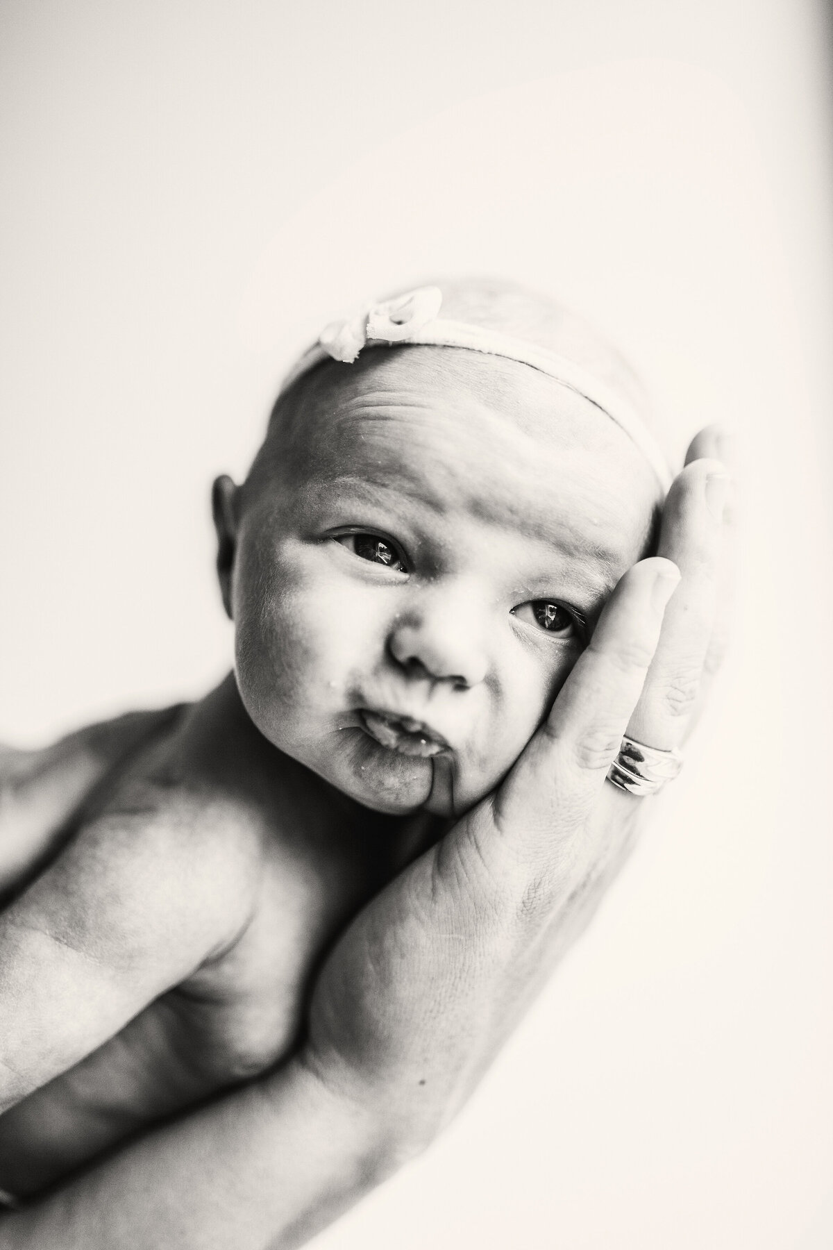 Collingwood Home Newborn Photographer - Katie Lintern (10)