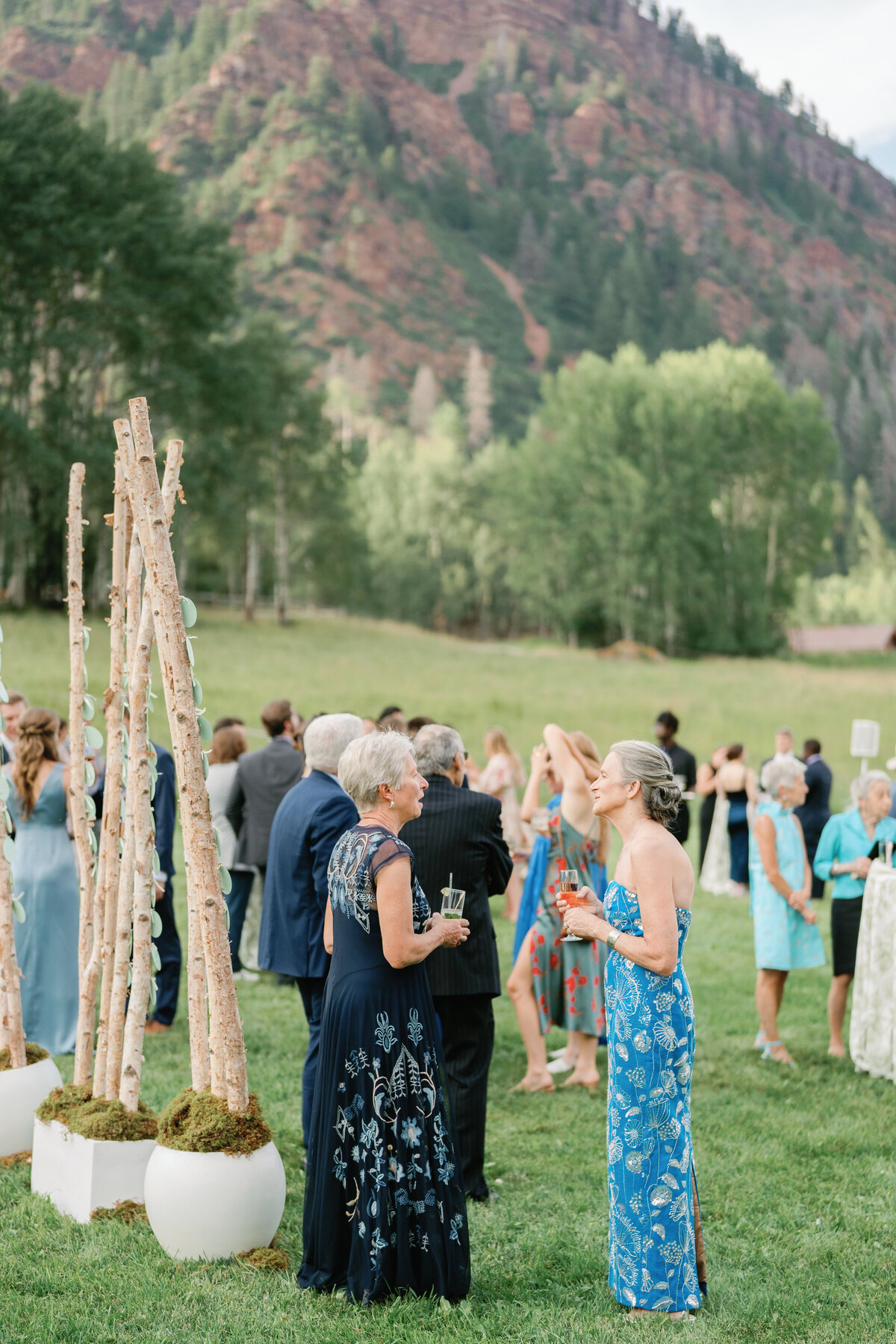 aspen-80