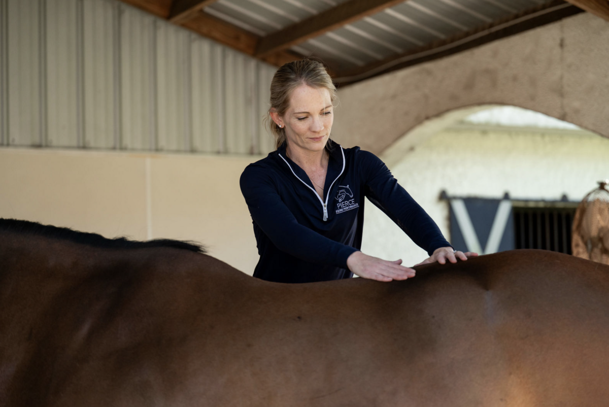 Pierce-Equine-Performance-Sports-Medicine-Vet-26.15 PM
