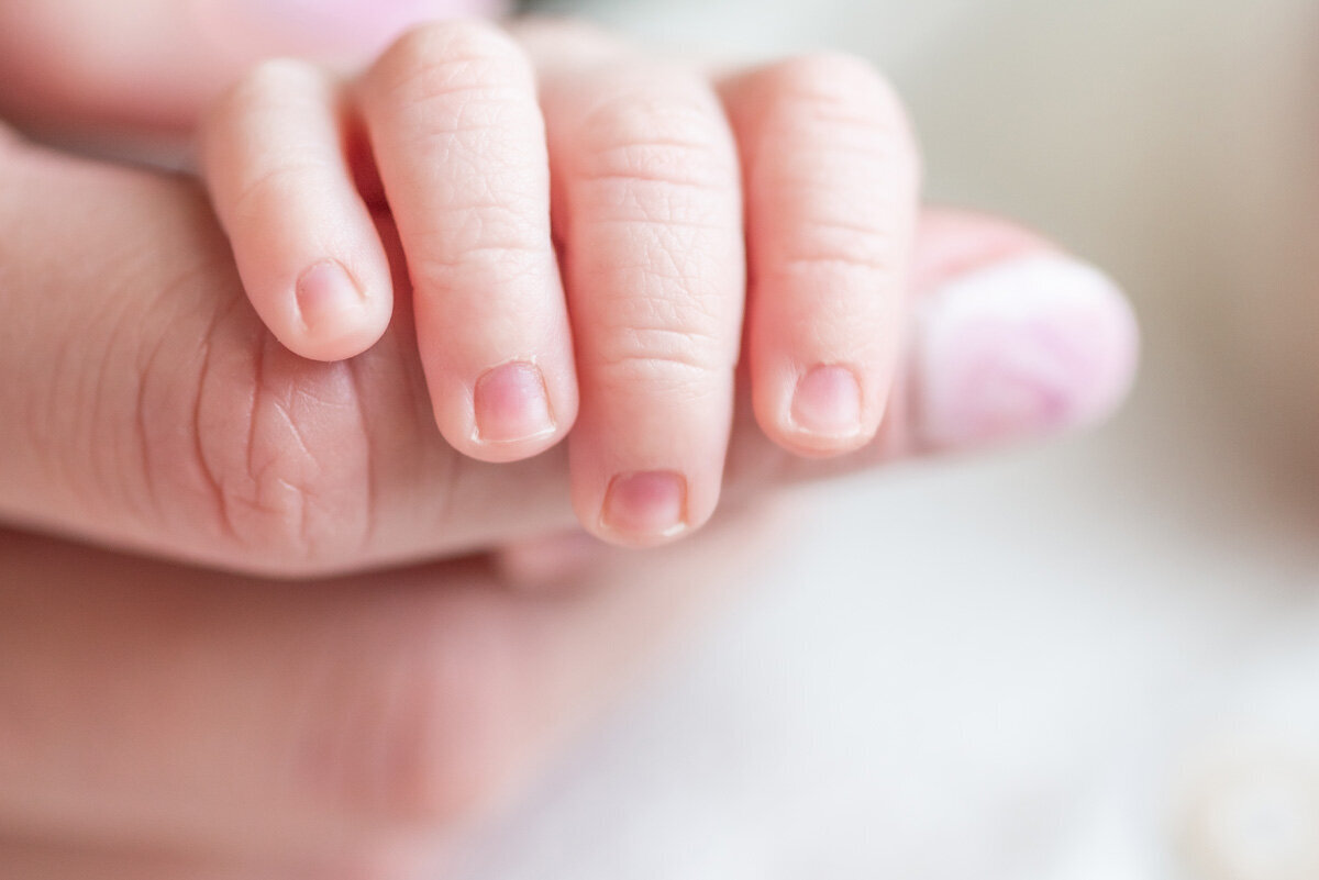 denver-newborn-in-home-baby-hands