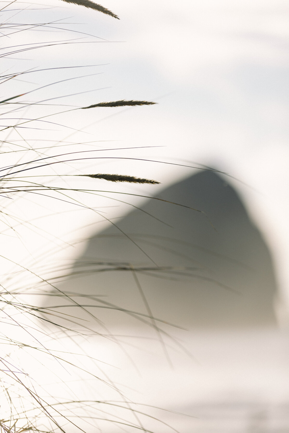 OregonCoastElopement_OregonWedding_SasserCo.Photo_0275