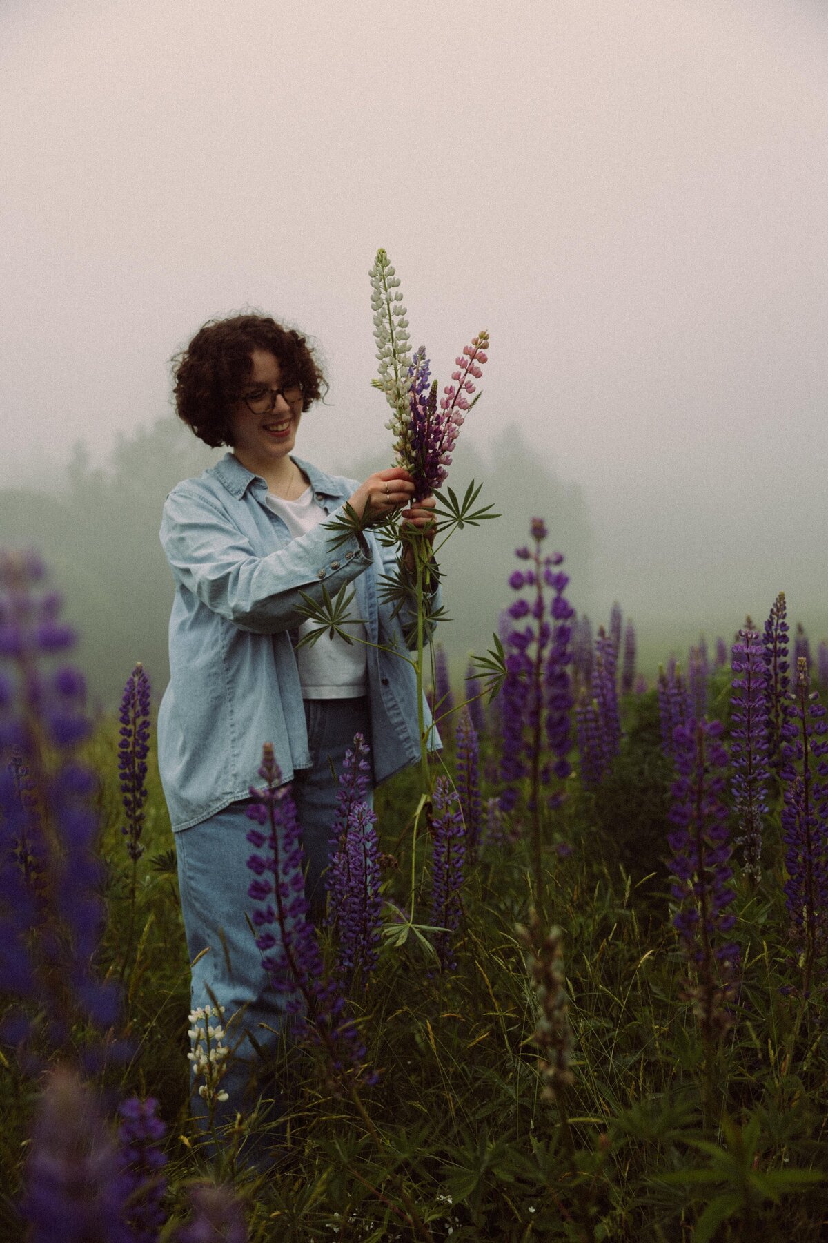 Viewing Lupines in Maine