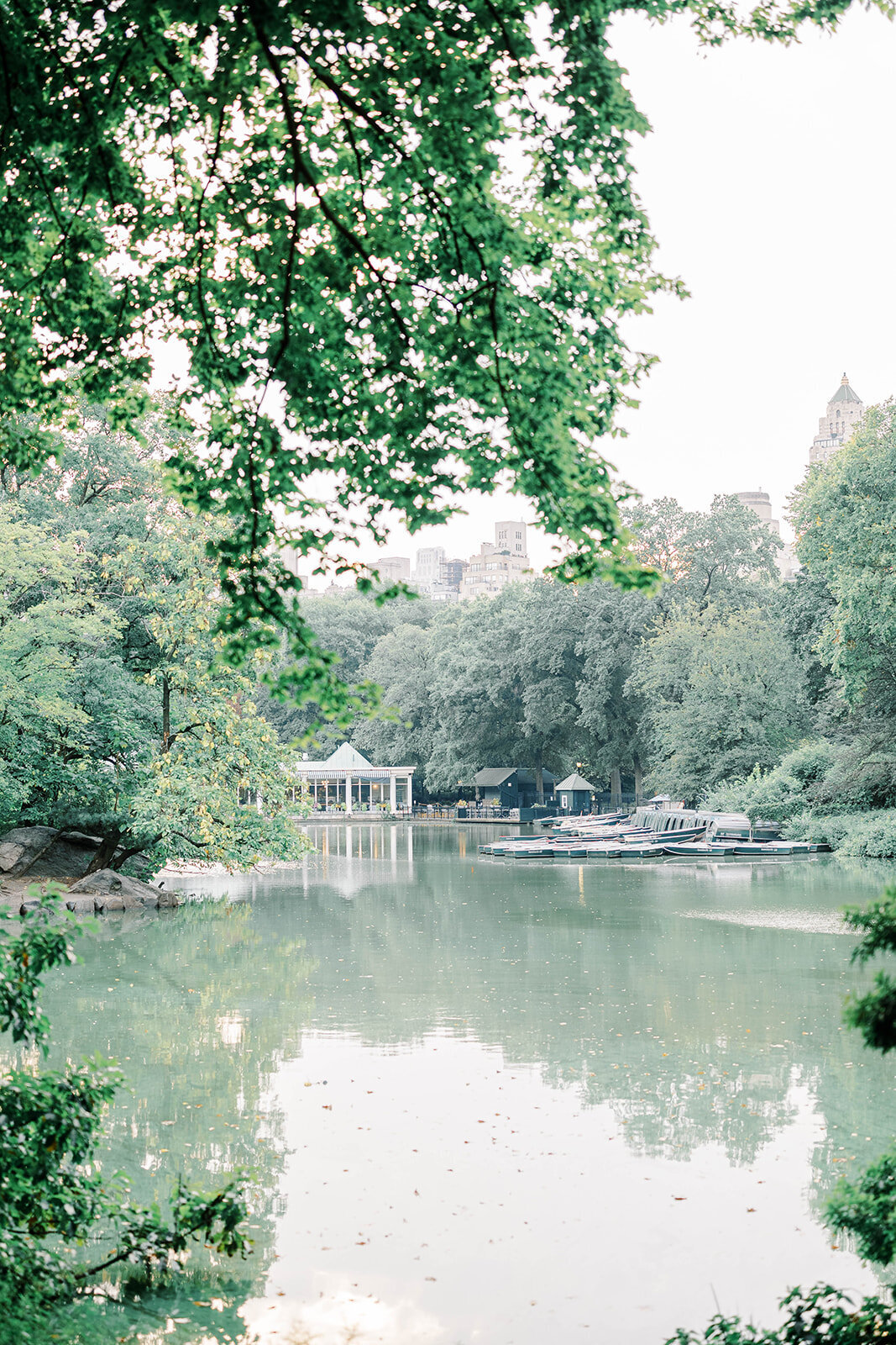 Central_Park_Engagement_Ronnie_and_Jean_MTA-93