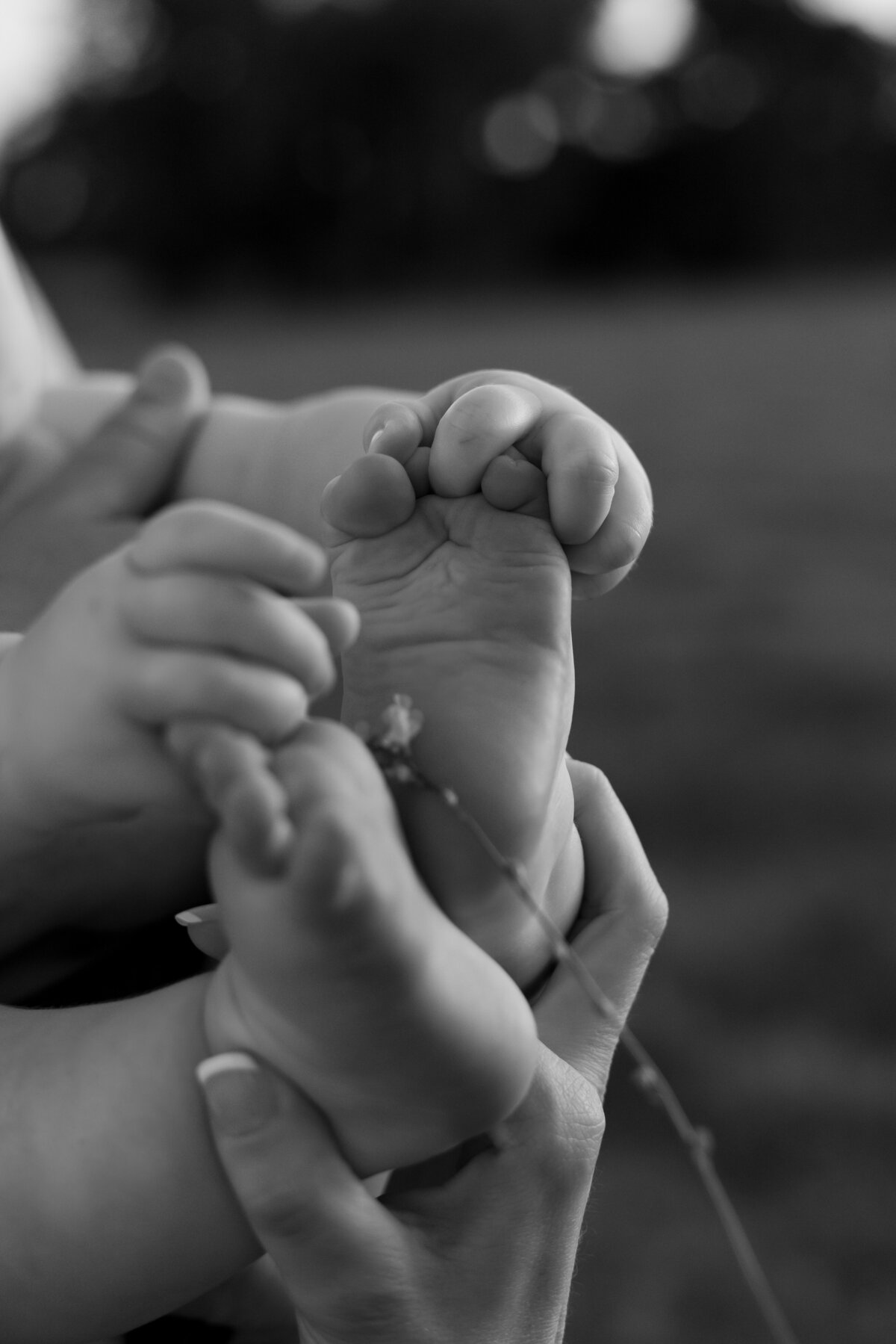 FAMILY-WALTONRANCH-NORTHPORT-FL-11