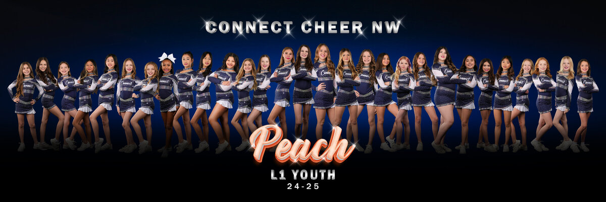 PEACH TEAM 10x30 FINAL