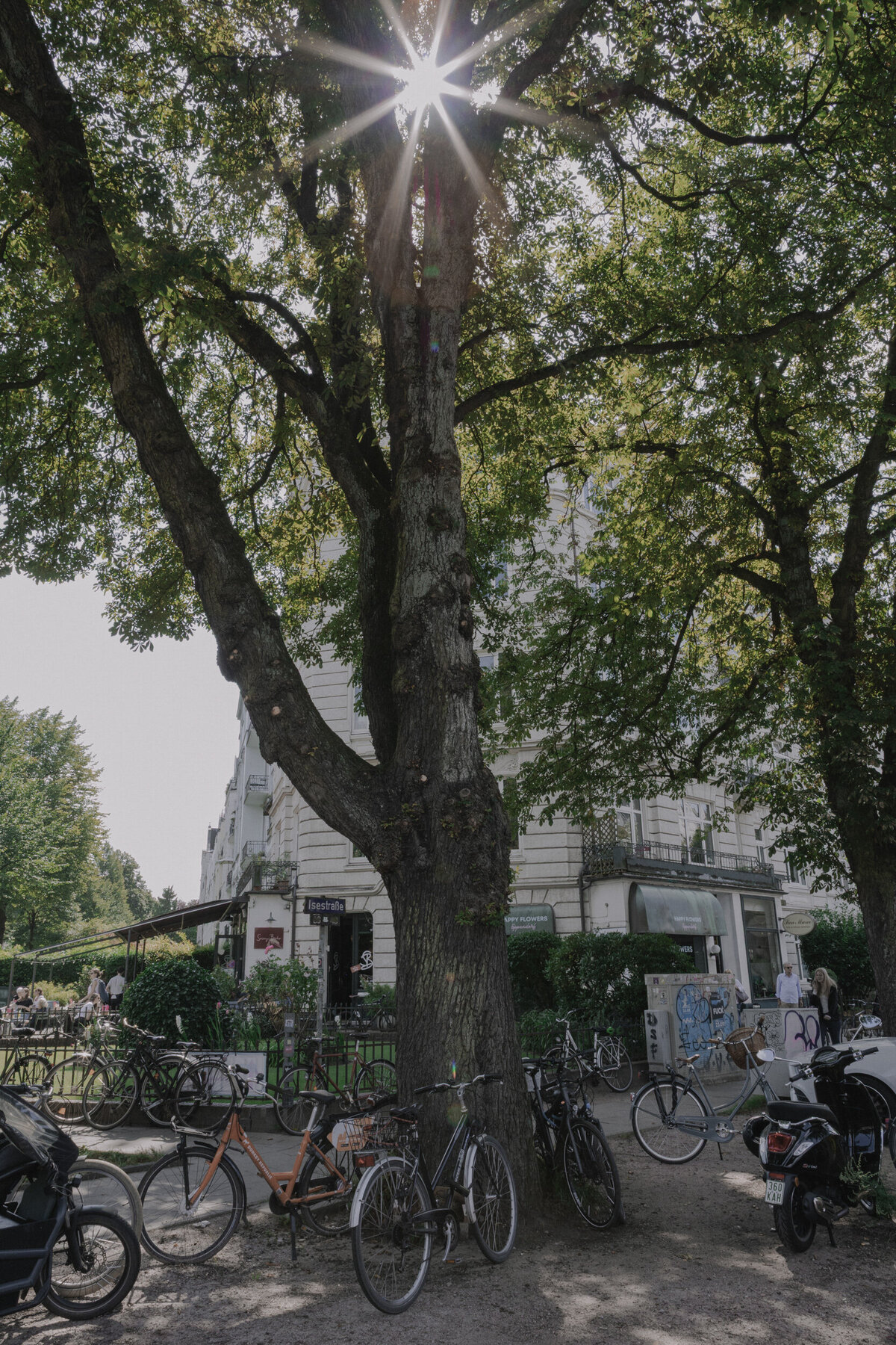 Anh-Marlene-20250808-003