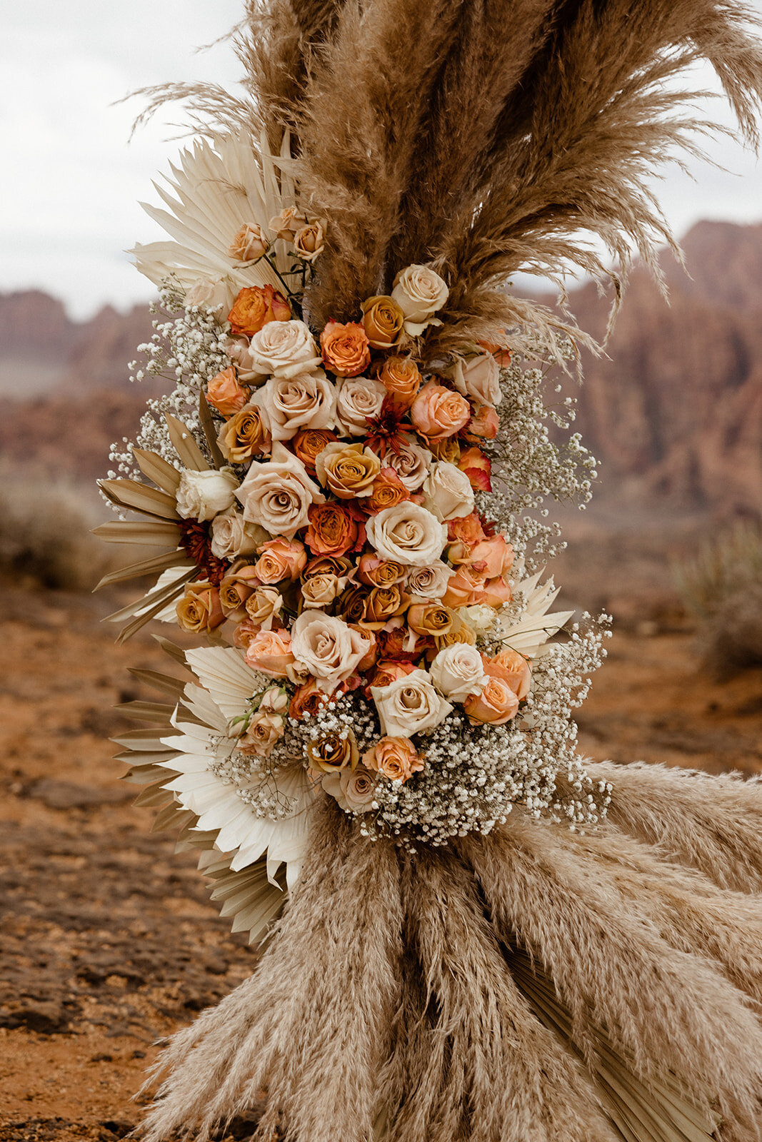 ZionSnowCanyon-dallinhassard-2219