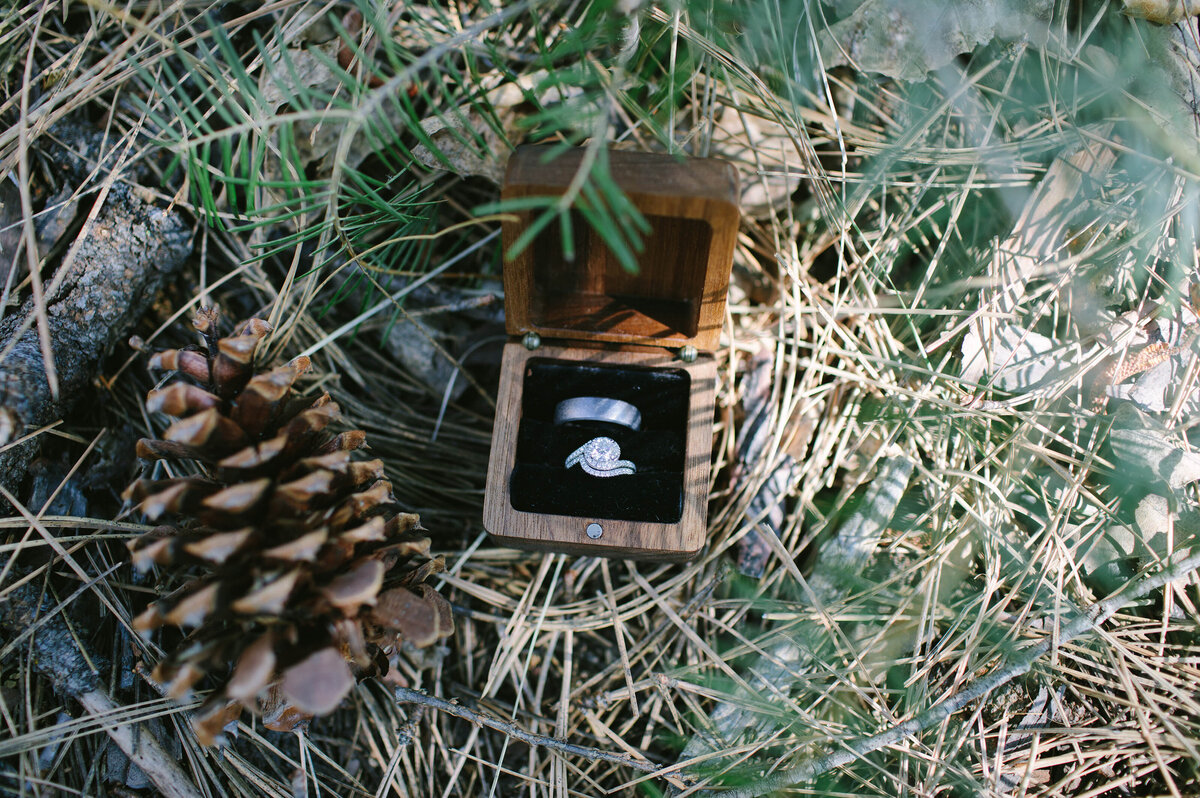 engagement rings in ring box sits next to a pinecone