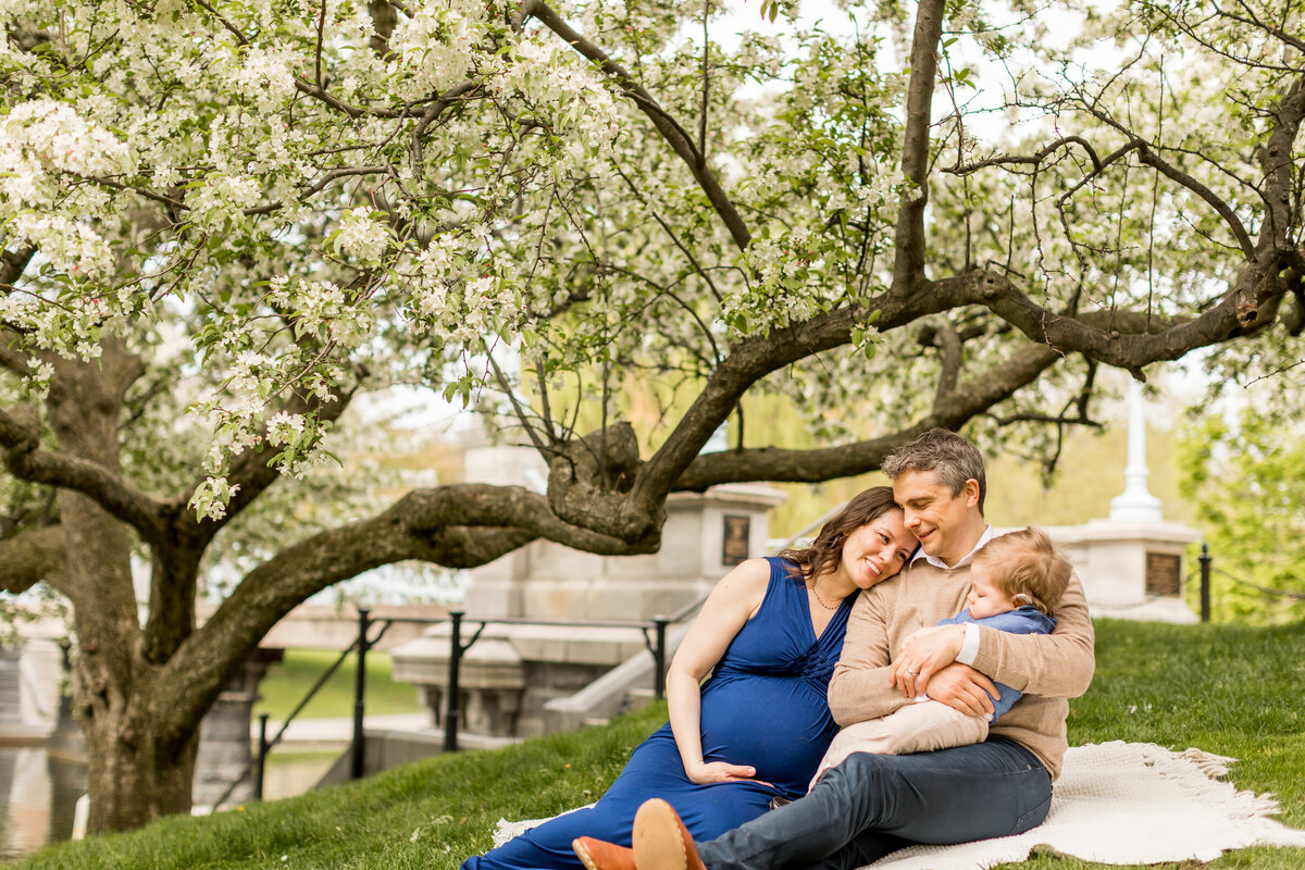 boston public garden spring maternity photos