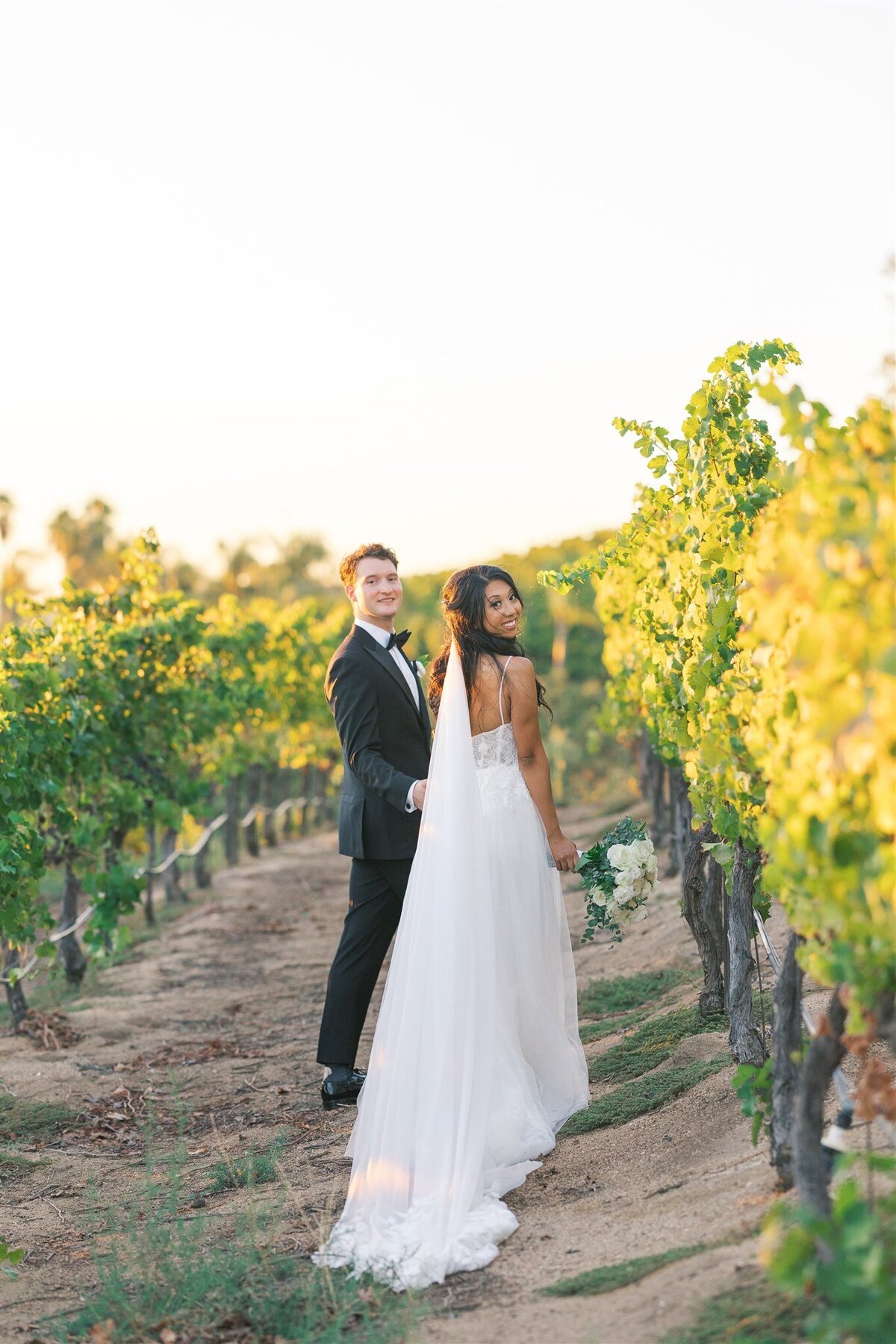 A&H Photo Co. - C&C-559