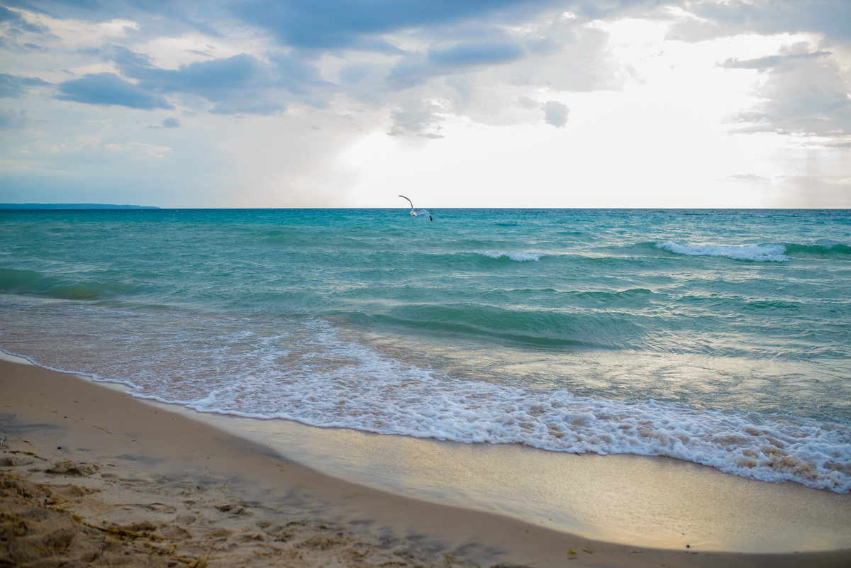 Curtis & Brynn - Oden & Janelle Photography 2015 - JJH_0691 | 17