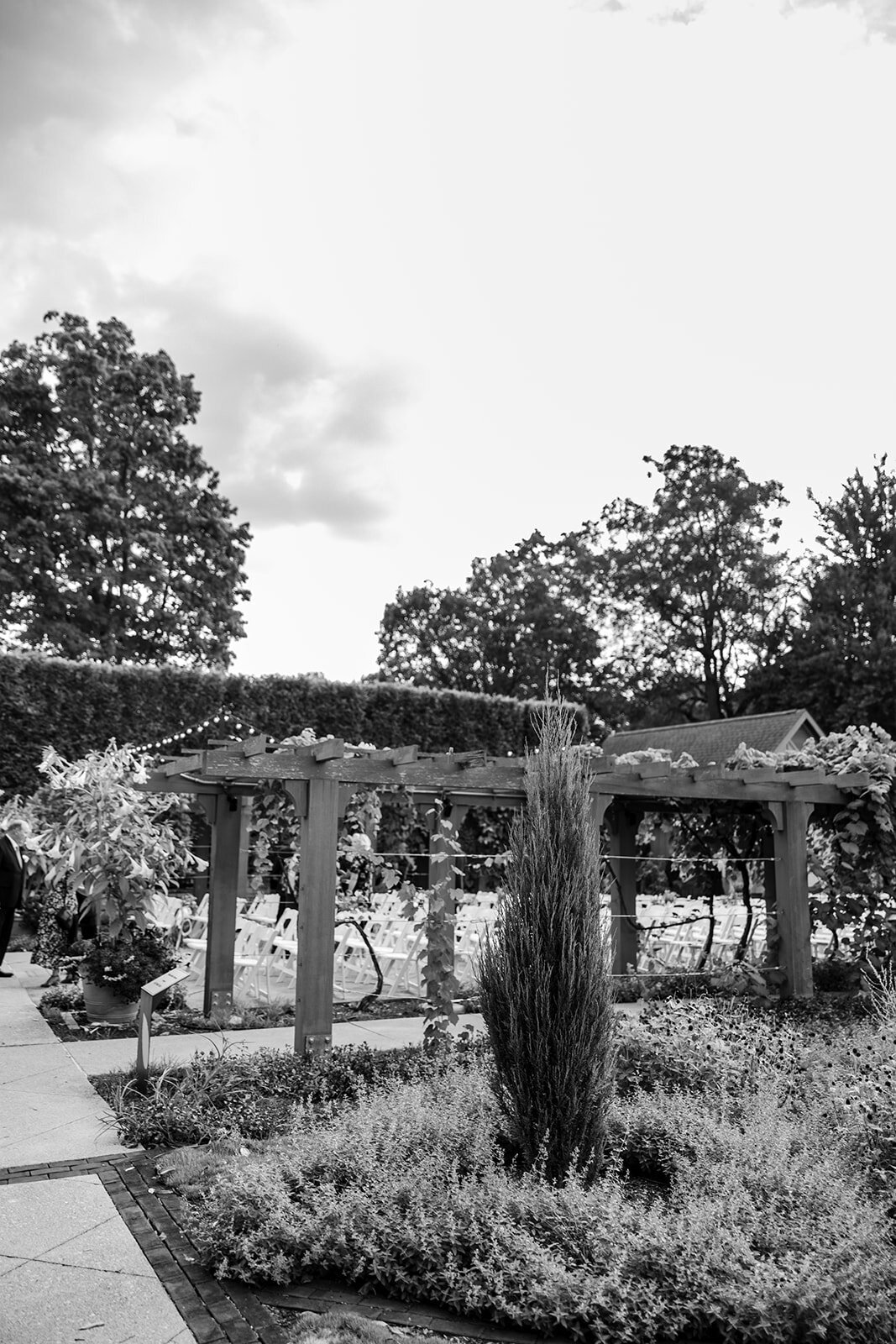 Asher-Wedding_AJV (594)_websize