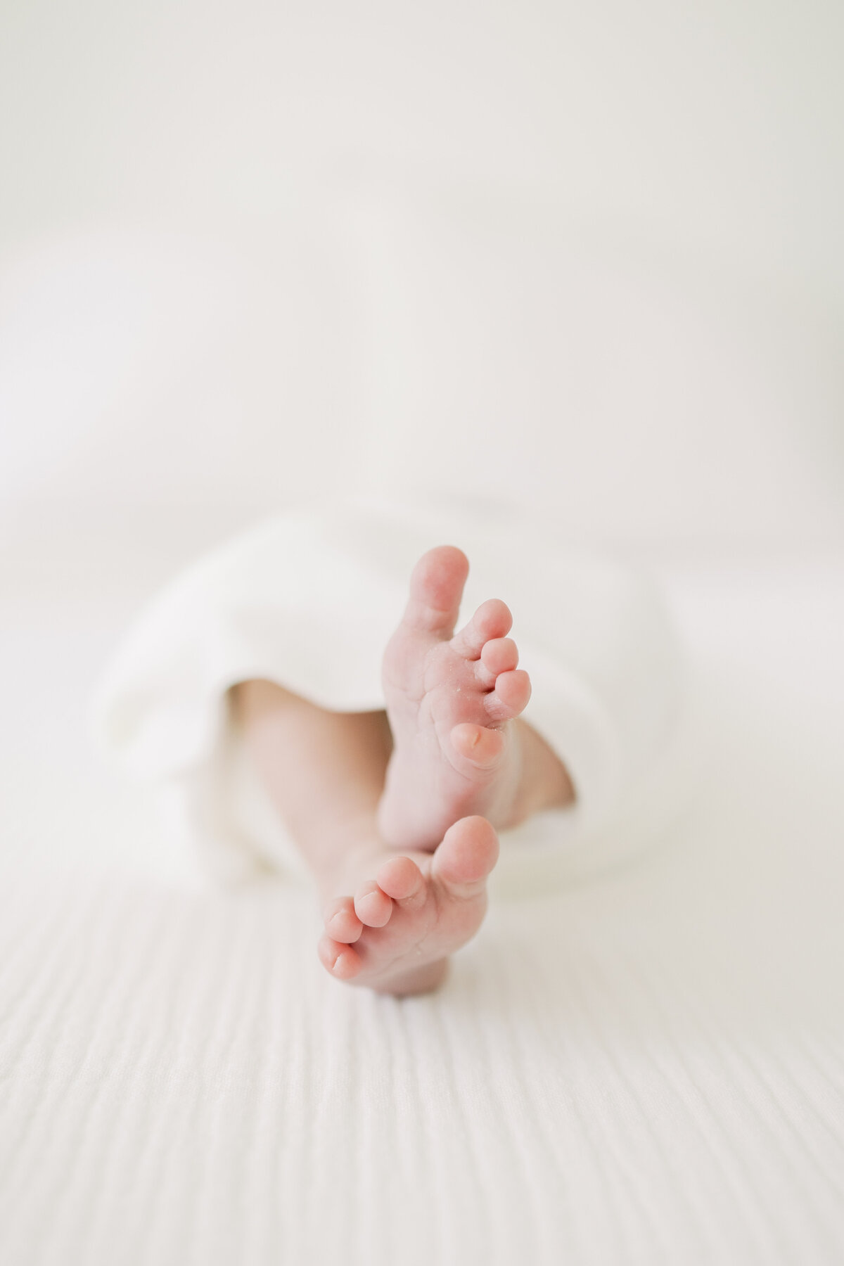 Austin-Studio-Newborn-Photographer3