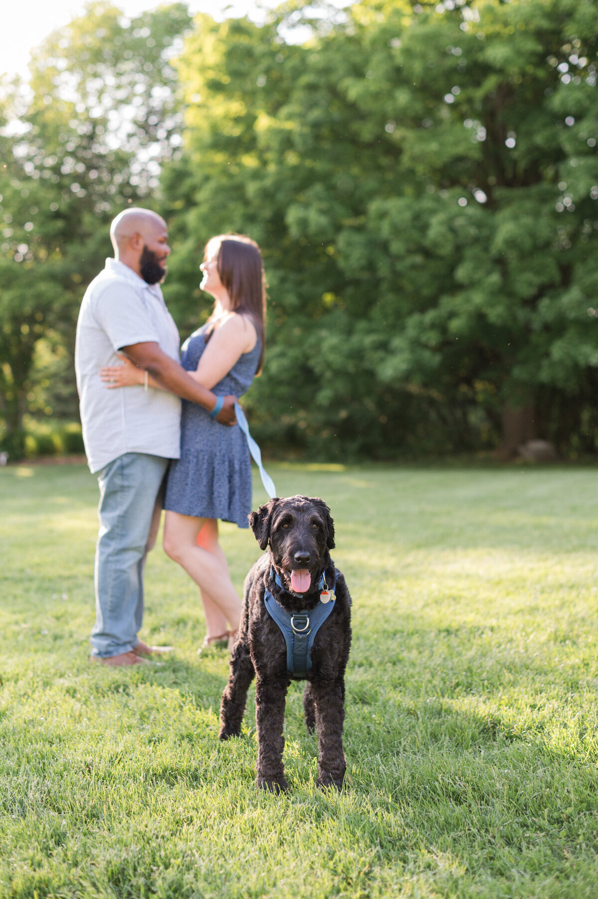 guelph arboretum engagement 4