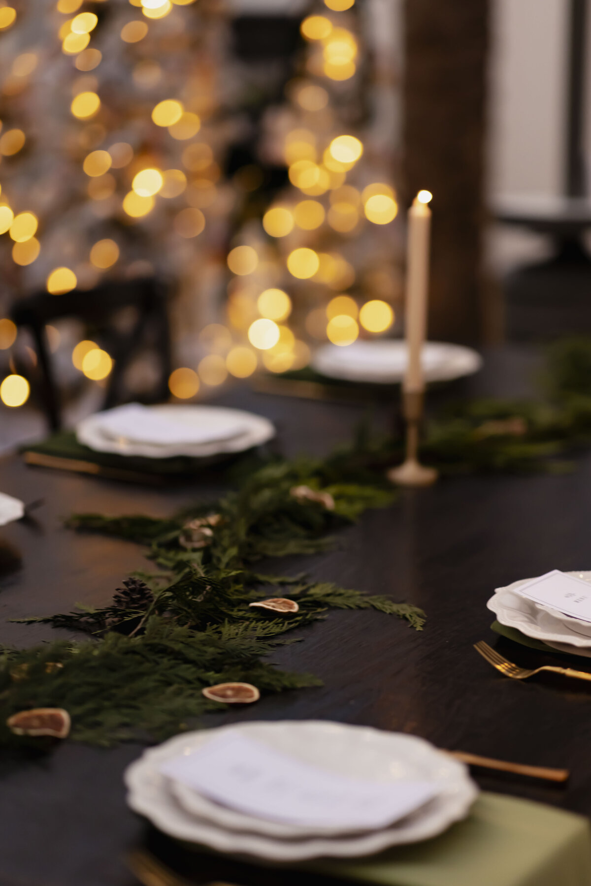 scp-lpe-xmasdinner-37