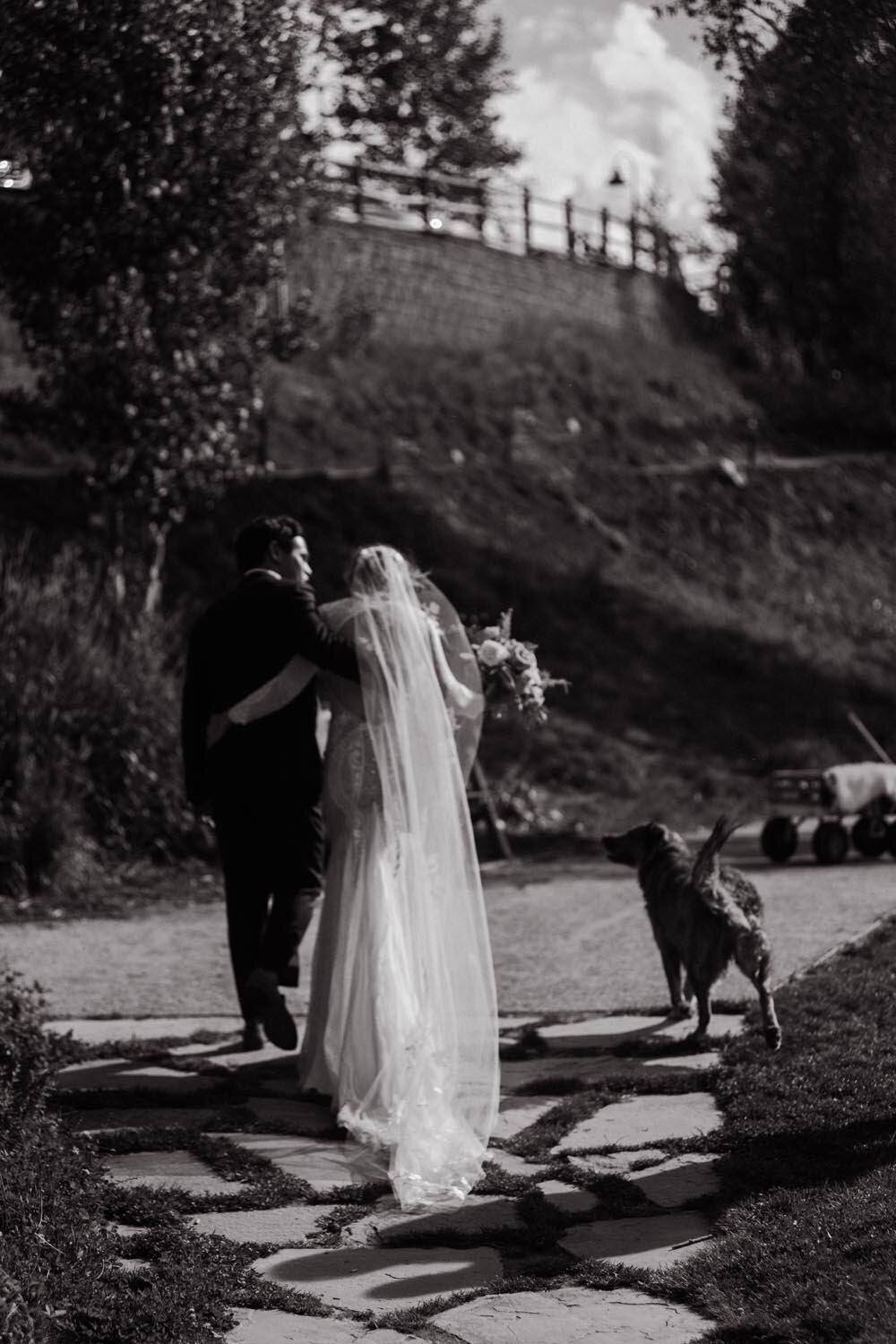 Sonya+Brian_Bride+Groom_0390