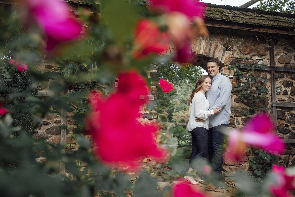 Couple among red roses during summer engagement shoot in Bucks County Pennsylvania