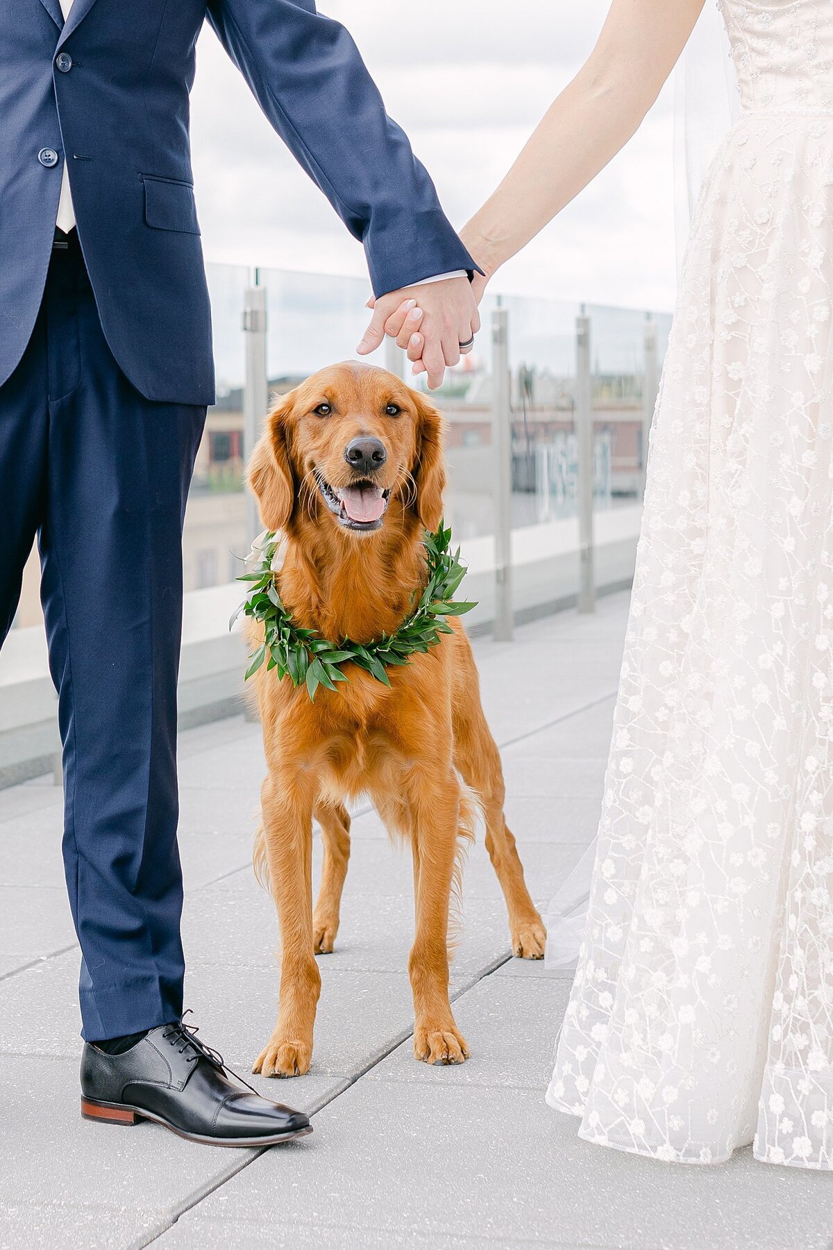 ND Wedding Photographers