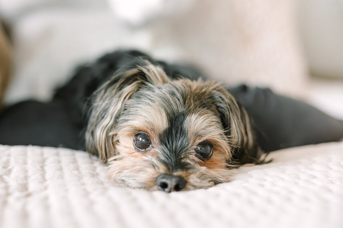 Hollyn Newborn 2024-7