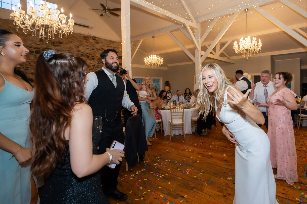 Reception-Fun_Hershey-Wedding_100-Edit