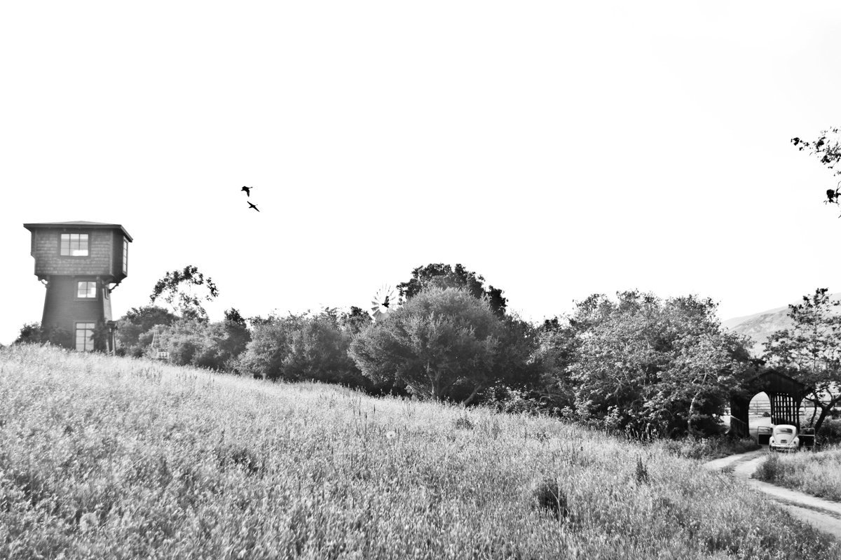 Chloe Murdoch Photography Flying Caballos Scott Kelly-144