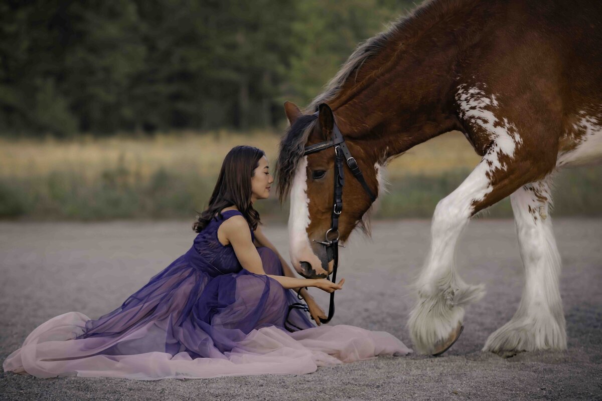 seattle-equine-photoghrapher-12