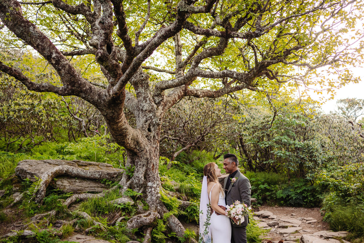 Stephanie&Gautham-264